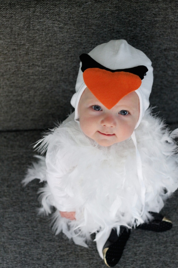 Diy baby swan costume
