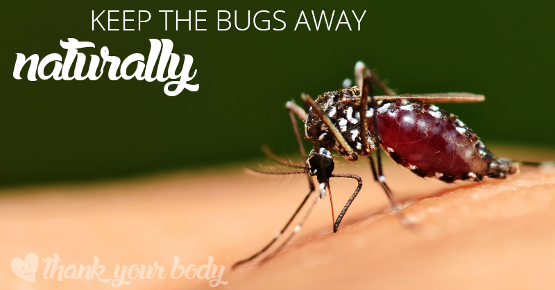 All natural homemade insect repellent by thank your body