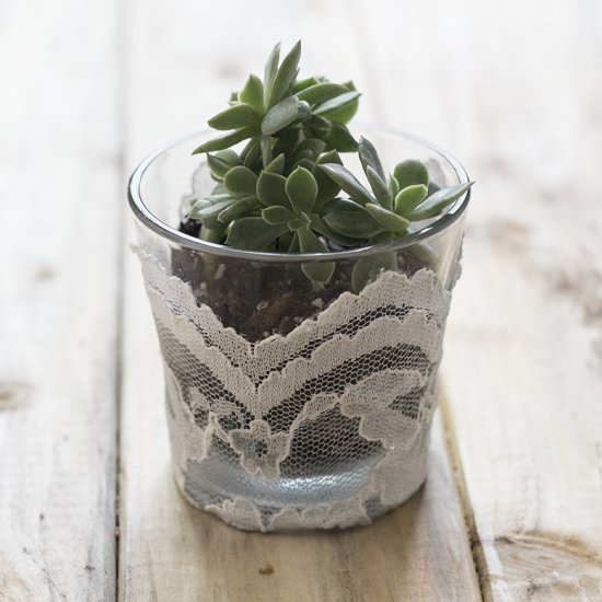 Glass planters with lace