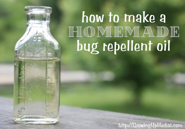 Homemade bug repellent oil by primarlly inspired