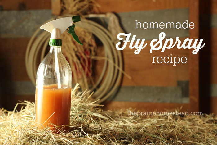 Homemade fly spray recipe by the prairie homestead