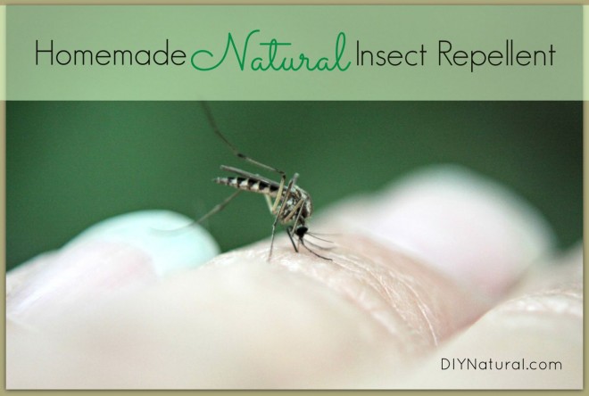Natural homemade bug repellent by diy naturals