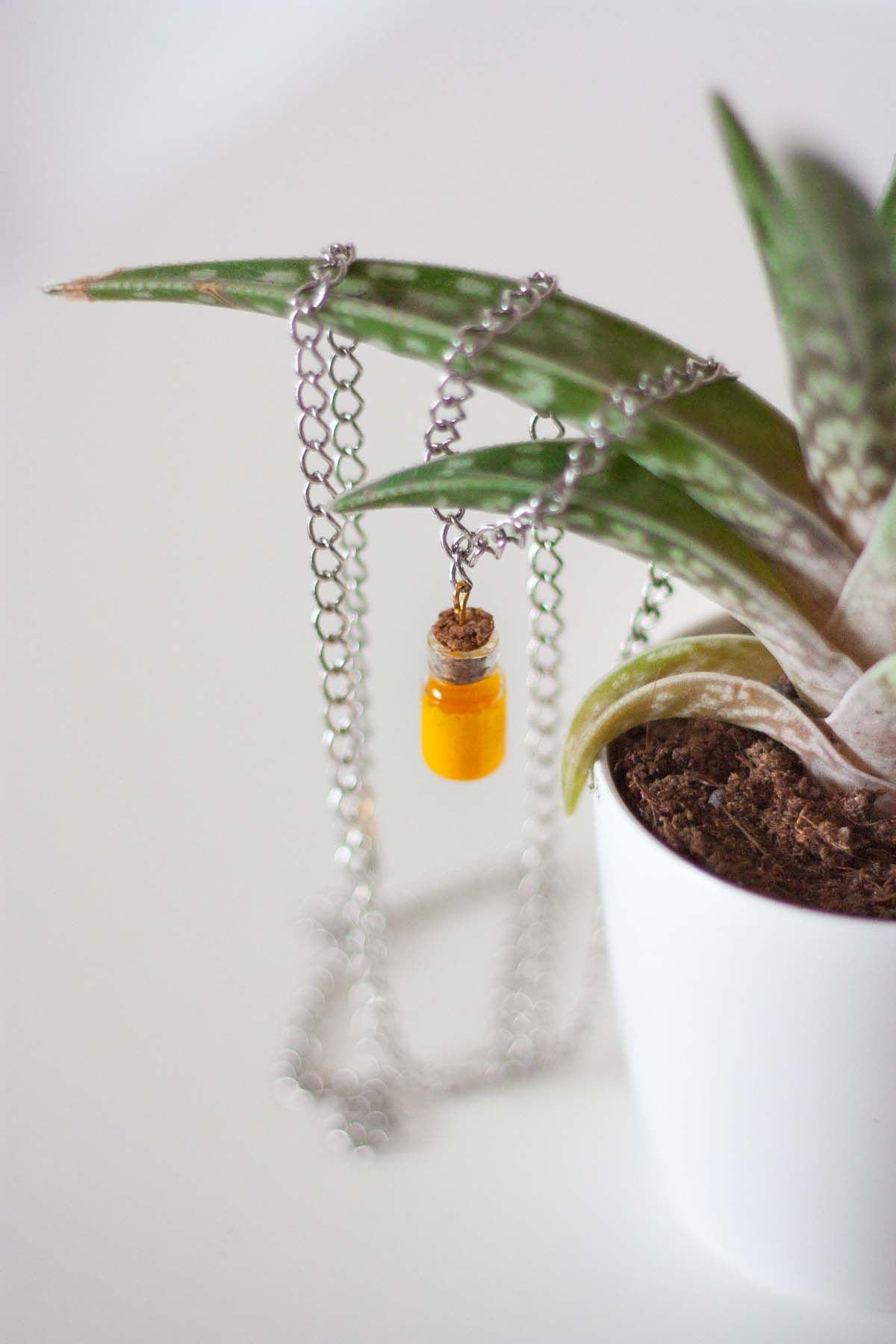 Diy mini bottle pendant necklace display