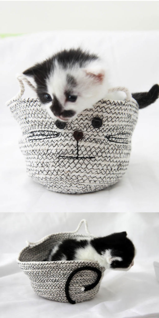 Cat rope basket