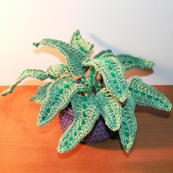 Crocheted plant