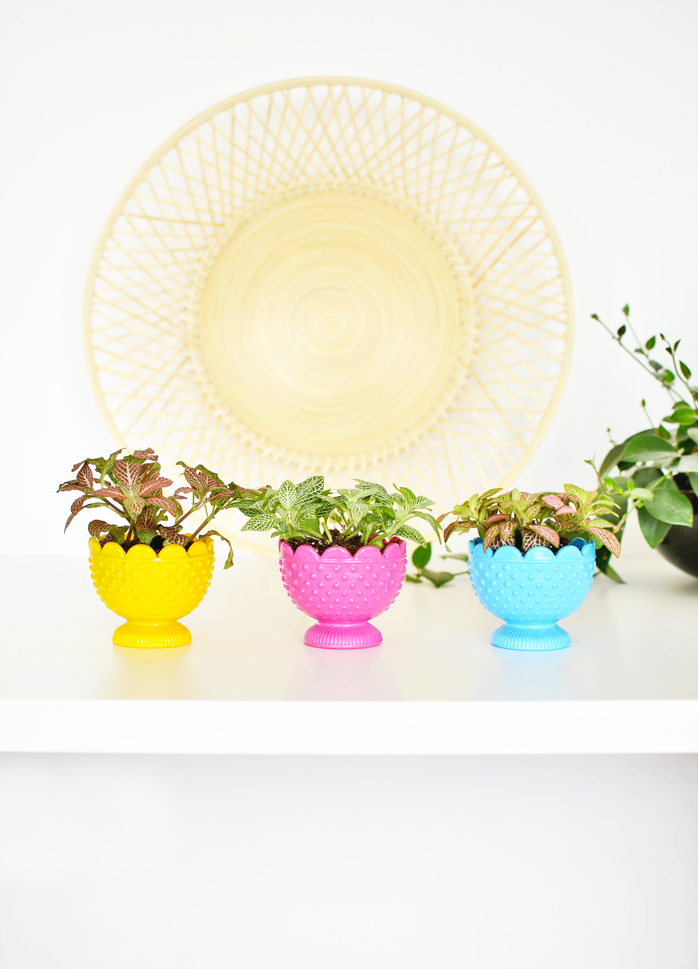 DIY Tealight candle holder planter DIY Colorful Votive Planters