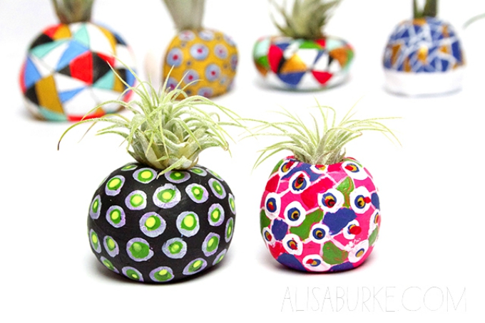 Rounded air plant pots
