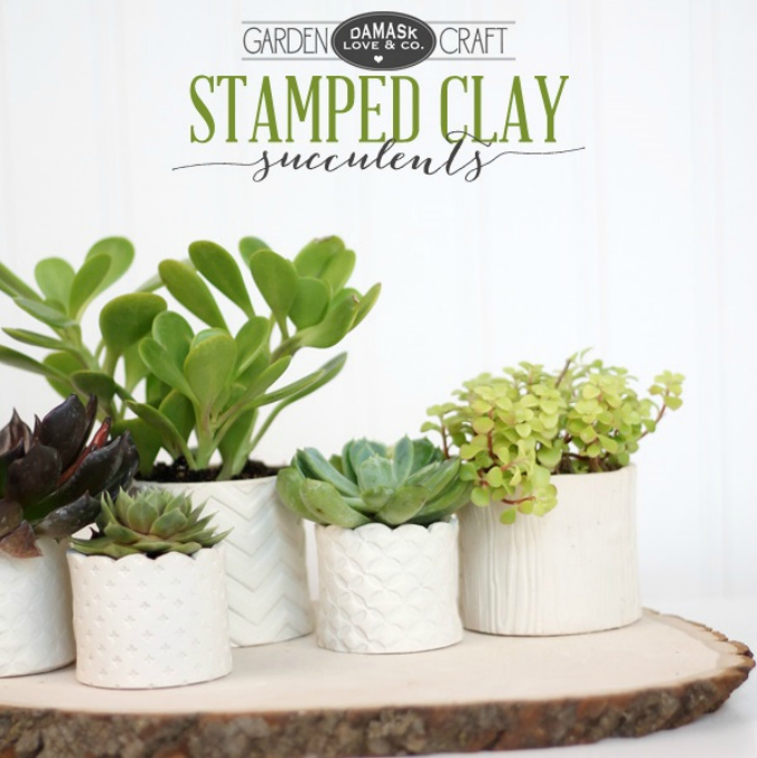 Stamped clay succulent pots