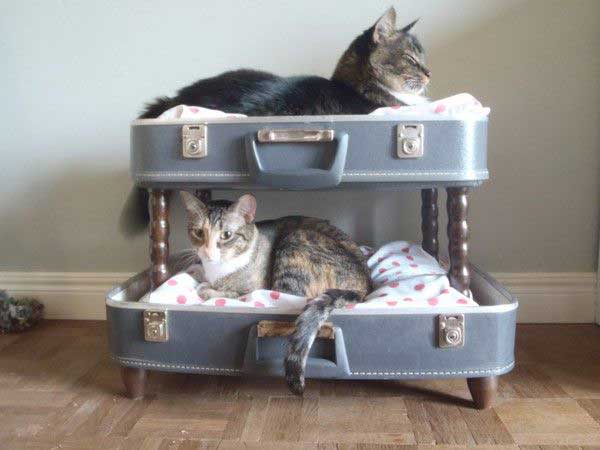 Suitcase cat bunk
