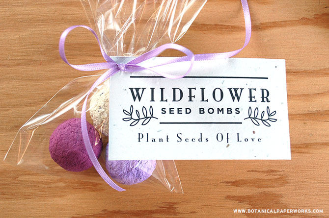 Coloured wildflower seed bombs