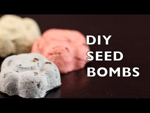 Flower shaped seed bombs