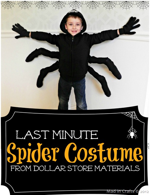 Last minute spider halloween costume[2]