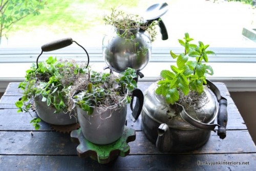 Cool vintage garden of old fashioned kettles 2 500x333