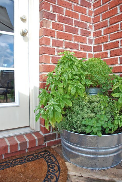 Diy backdoor herb garden
