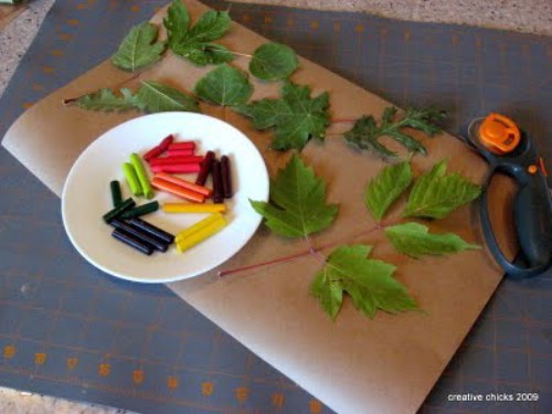 Crayon and leaf rubbings