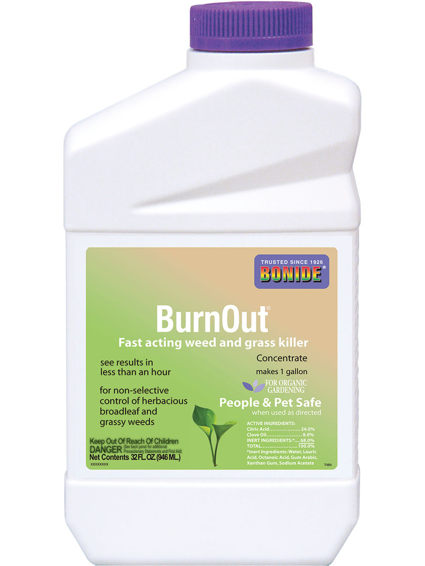 Burnout natural weed killer