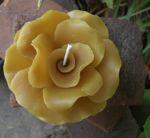 Carved beeswax rose