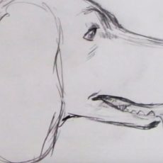 Sketch a spaniel dog 230x230 15 Basic Drawing Techniques for Beginners
