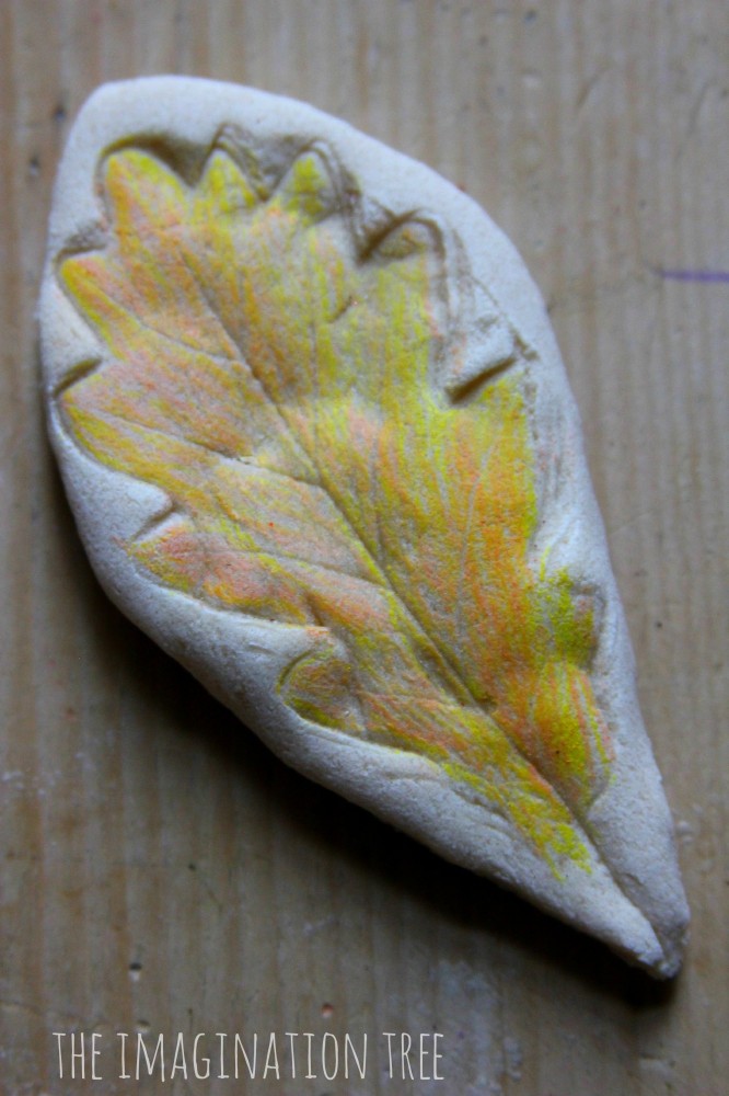 Clay leaf impression