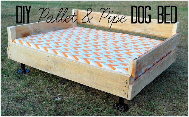 Pallet pipe dog bed platform diy pallet pets animals 1