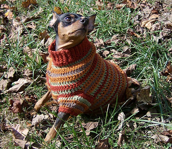 Autumn stripes sweater