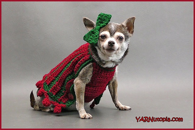 Bebes holiday pet sweater 15 Knitting and Crochet Patterns to Keep Your Pet Warm