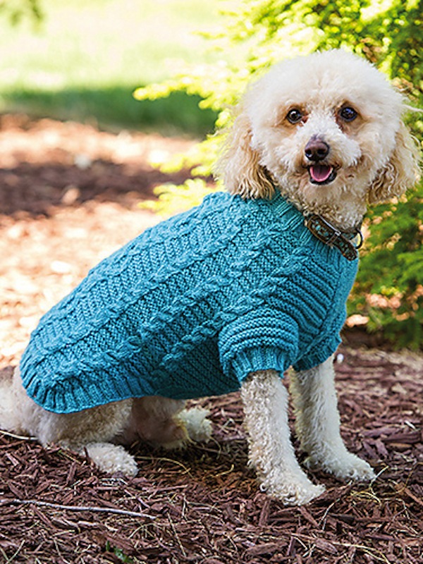 Cable dog sweater