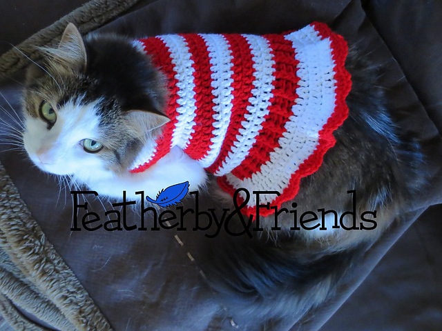 Candy cane pet sweater