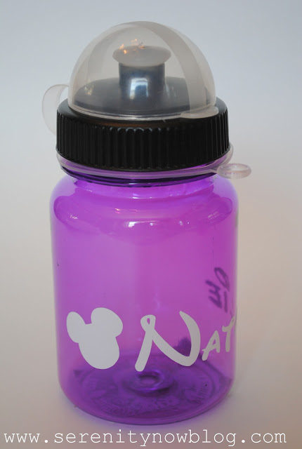 Diy personalized disney water bottles silhouette craft vinyl serenity now blog