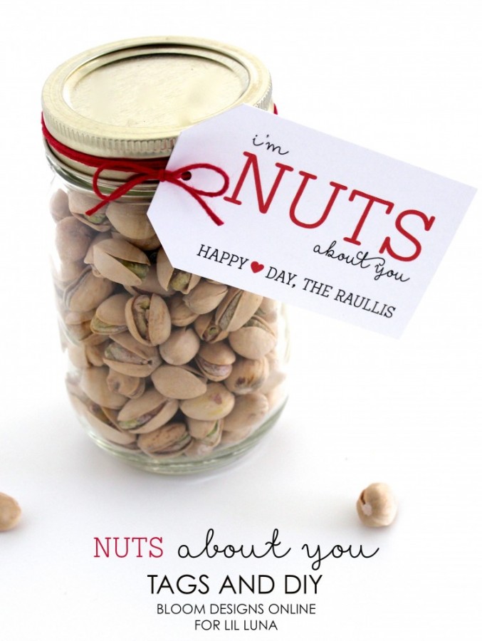 Diy nuts about you jar