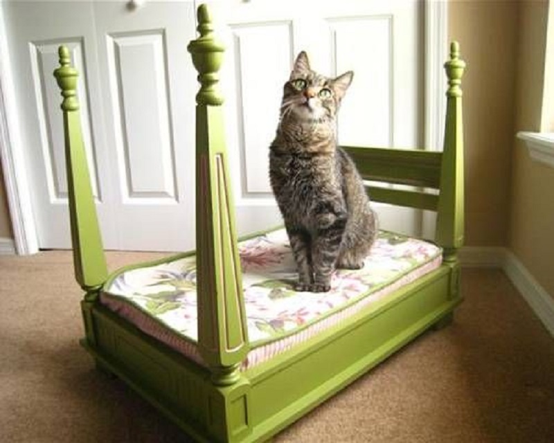 Four poster cat bed from an upside down table