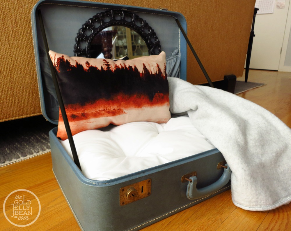Old suitcase with a cushion