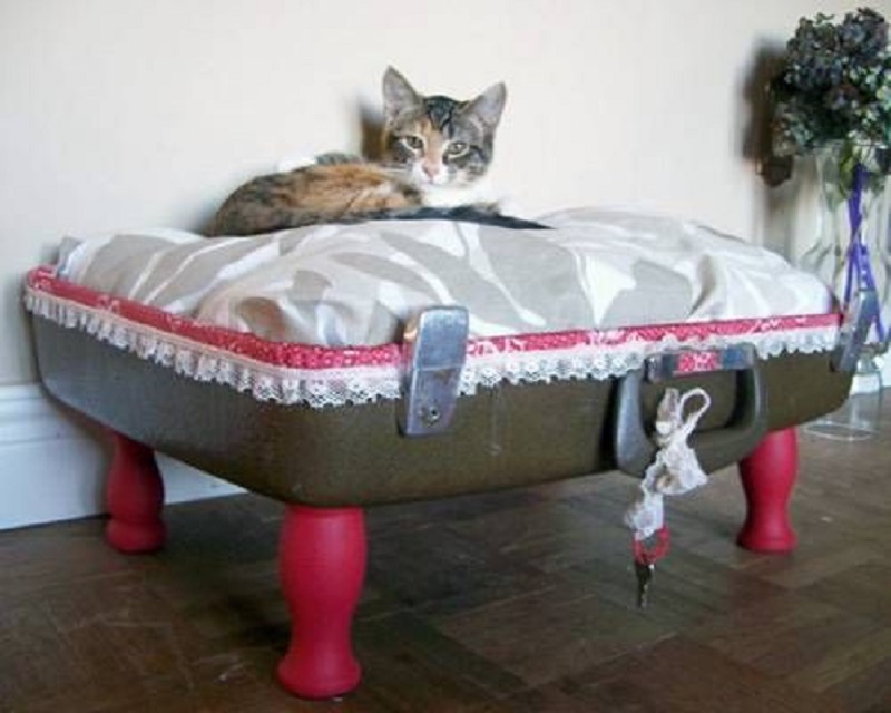 Suitcase bed with legs