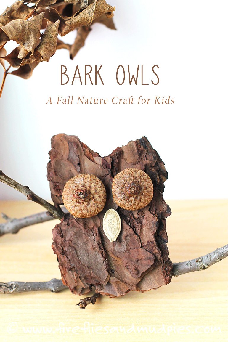Bark owls a fall nature craft for kids