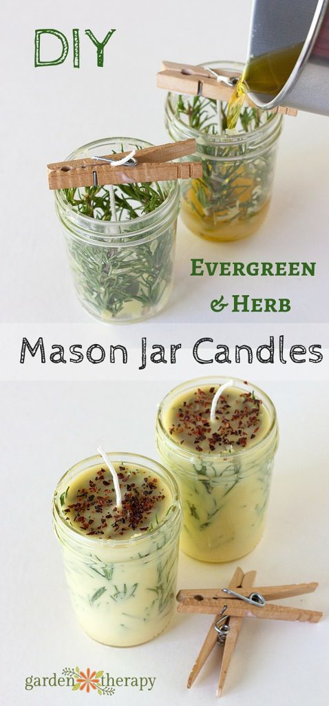Diy evergreen and herb scented mason jar candles 478x1024