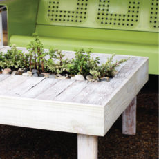 DIY pallet garden table 230x230 Cute DIY Projects for Your Garden