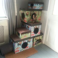 Gift box cat houses