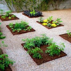 Steel edge garden bed in rocks 230x230 Cute DIY Projects for Your Garden