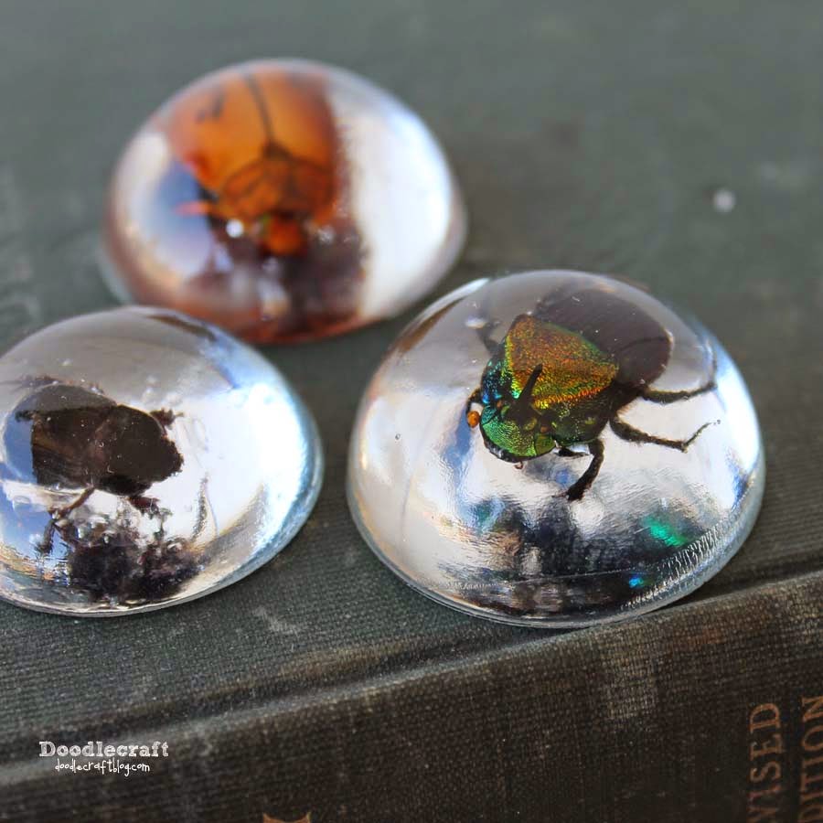 Beetles in resin jewelry diy