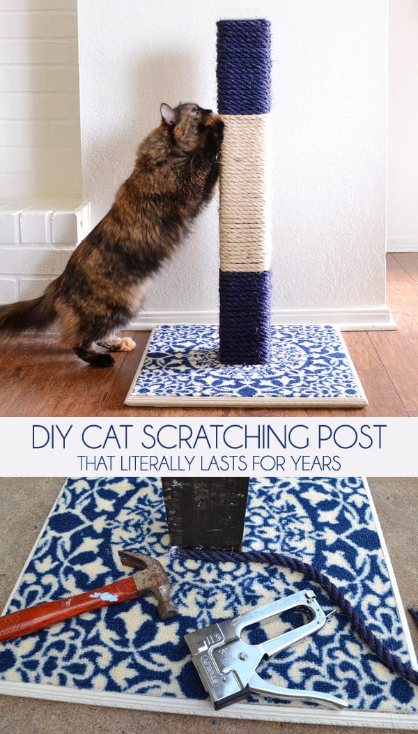 Diy rope wrapped scratching post