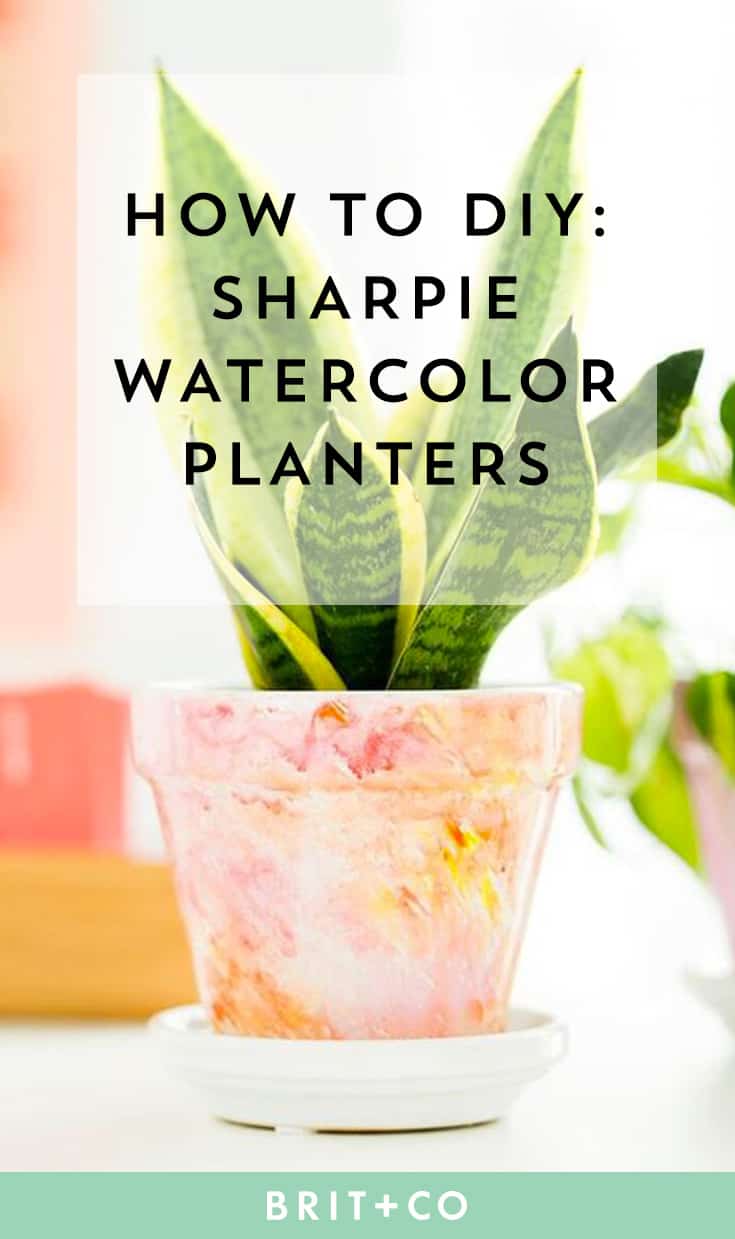 Diy sharpie watercolor planters