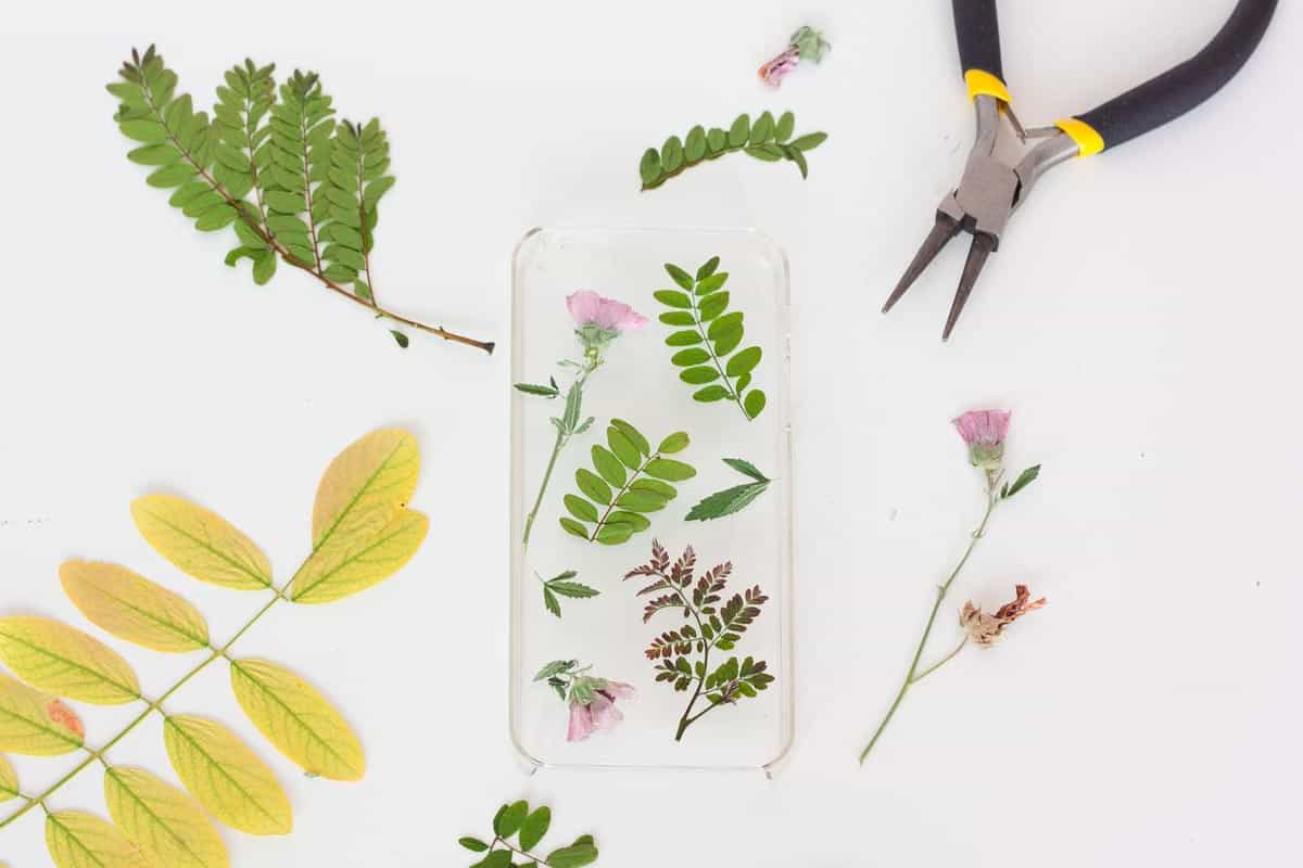 Botanical iphone case diy cut