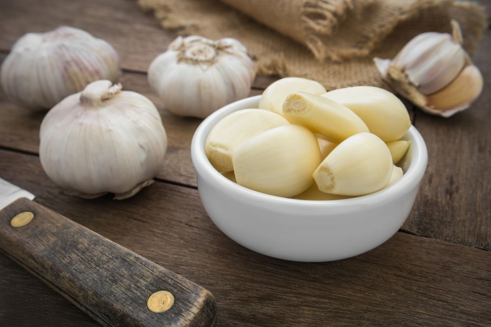 How long can you freeze garlic