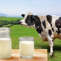 Can you freeze raw milk