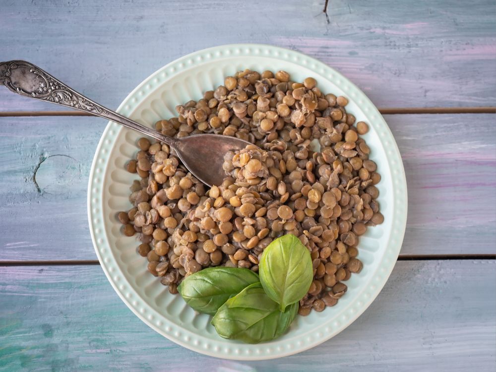 How To Freeze Cooked Lentils