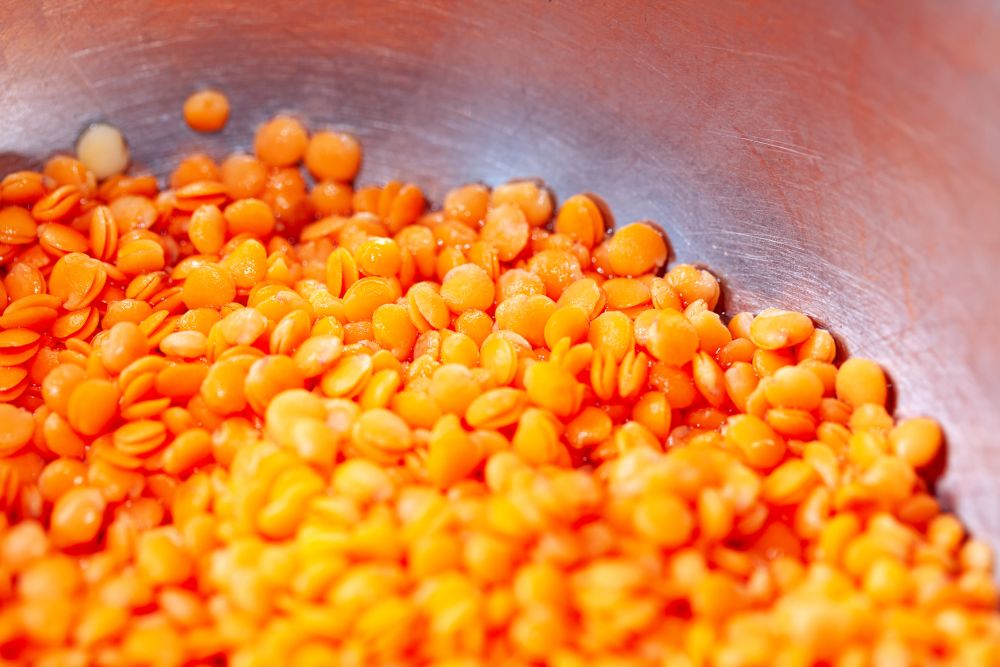 How to thaw cooked lentils