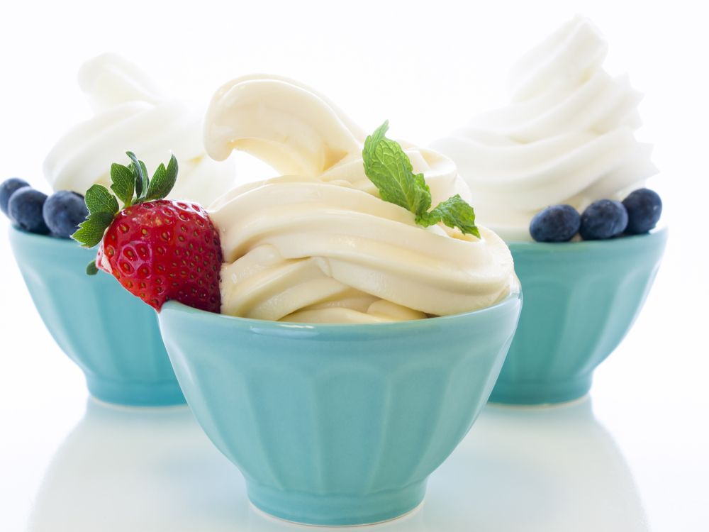 How To Make Frozen Yogurt