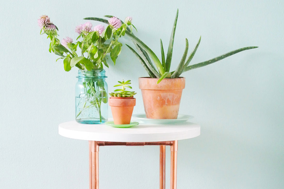 DIY Pipe Plant Stand