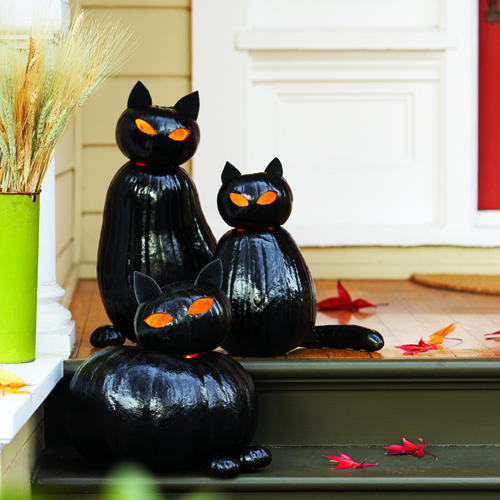 Black Cat Pumpkin Designs