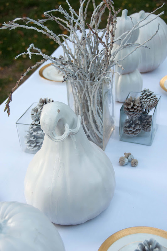 Bleached Look Thanksgiving Table Decor IDea